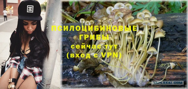 Альфа ПВП Балабаново