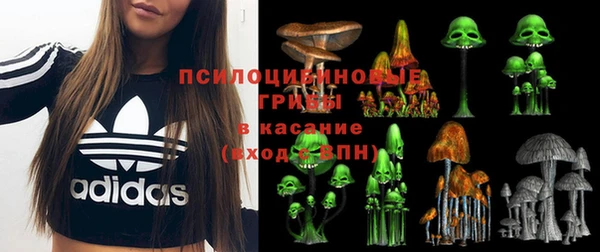 меф Богородицк