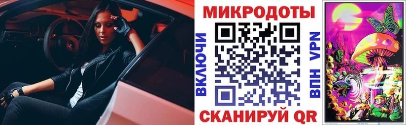 Галлюциногенные грибы Psilocybine cubensis  Холмск 